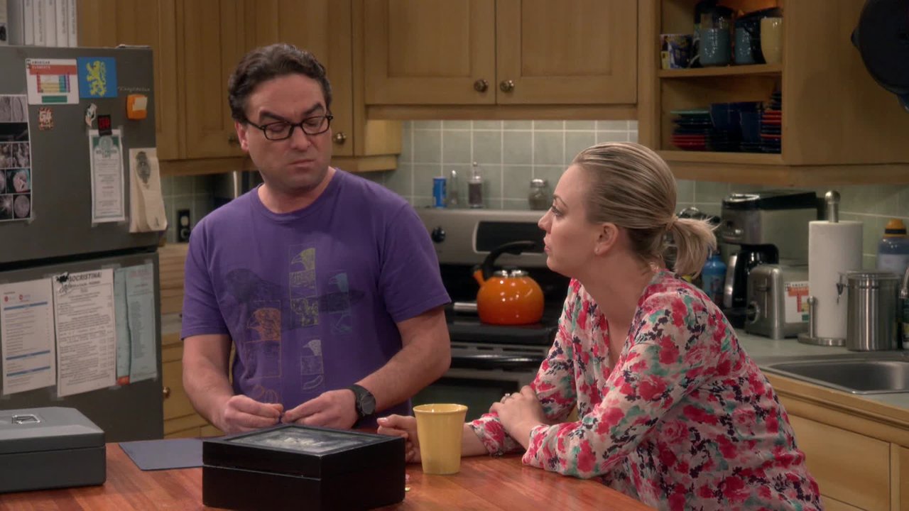 The Big Bang Theory (Season 9), Season 9: watch series online in good ...