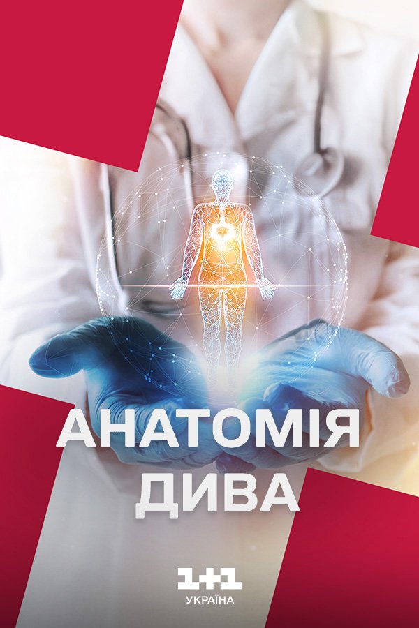 Анатомія дива